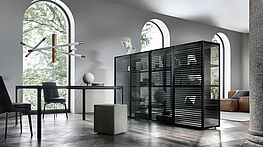 rimadesio alambra glasvitrine raumteiler schwarz black mit sprossen gruenbeck wien vienna design