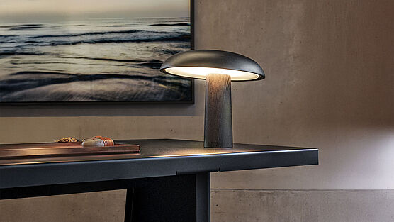 ClassiCon Forma desk lamp solid wood|Grünbeck Interiors Vienna